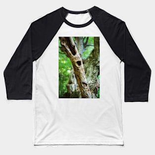 Dead tree in a young forest Baseball T-Shirt